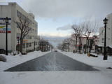 DSC04447