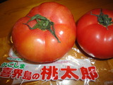 DSC04868