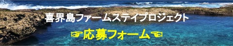無題のプレゼンテーション (3)