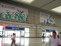 DSC02209