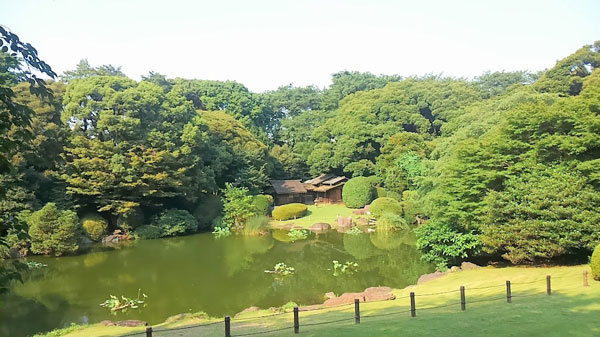 トーハク