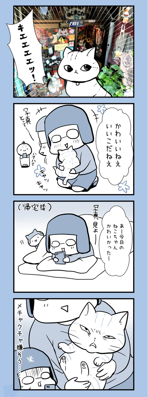 neko_iyagaru