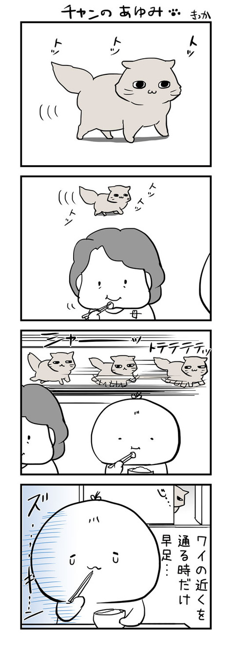 201708tyan4koma