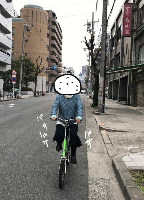 20170106_kikka
