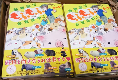献本