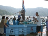 c783e927.JPG