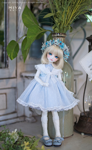 bluebell_sam5