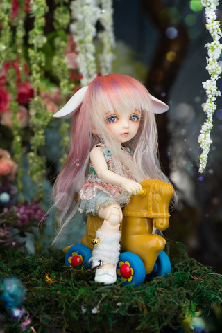 pkf_Rin_09