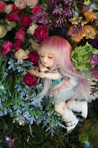 pkf_Rin_10
