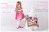 where is my teddy01