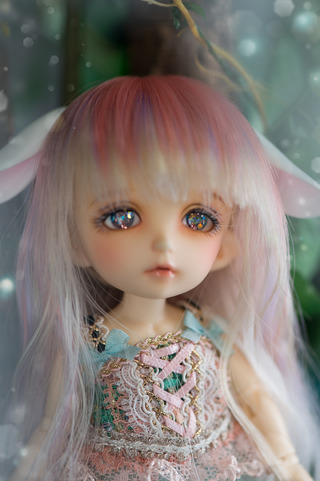 pkf_Rin_02