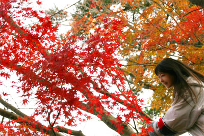 koyo09blog