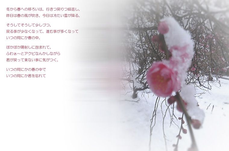ume3