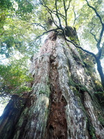 P3090405