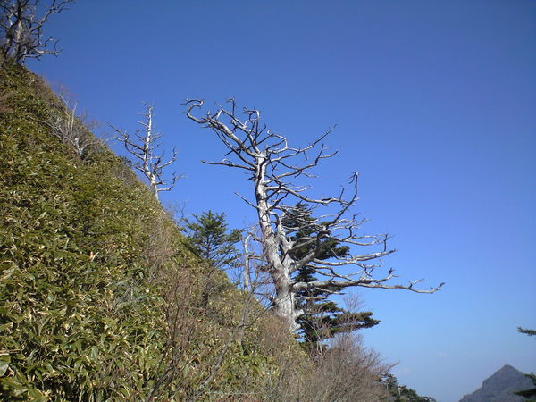 CA3A0851
