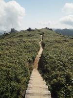 P3080324