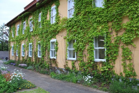 aIMG_0215