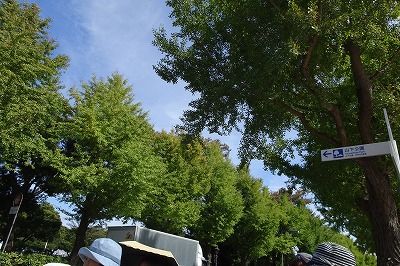 DSC01986