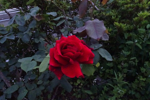 DSC00082