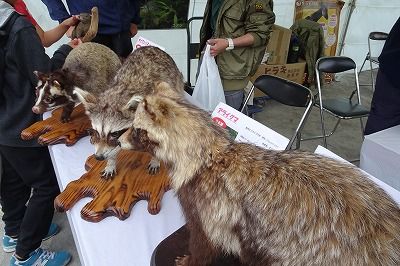 DSC02894_t