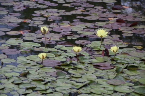aIMG_0196
