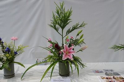 DSC02969_t
