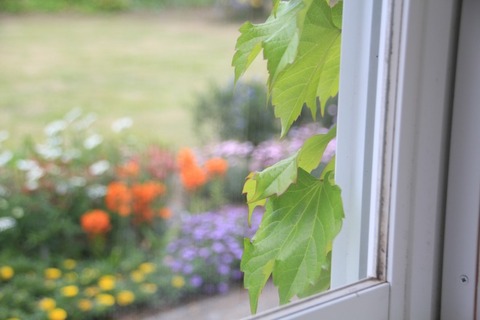 aIMG_0231