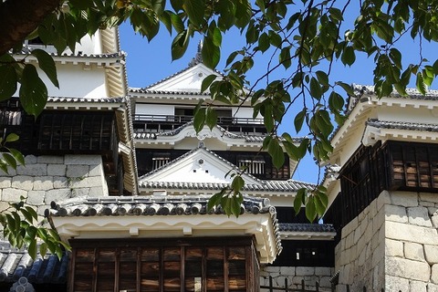 aDSC01231