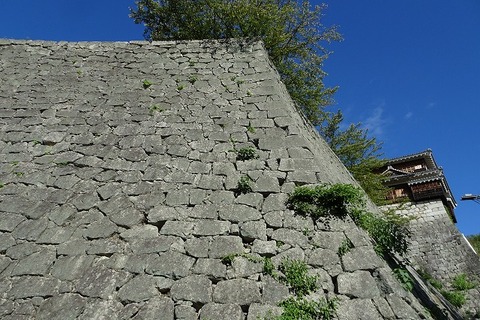 aDSC01131