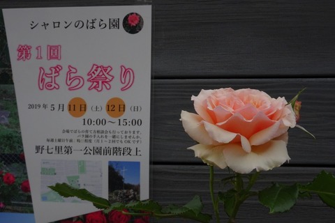 DSC00040