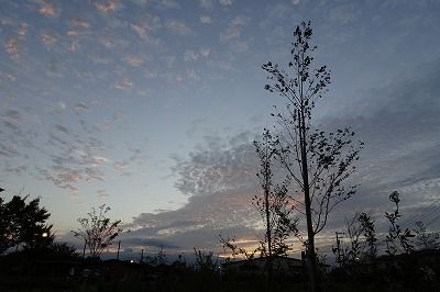 DSC01773