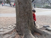 DSCF8612
