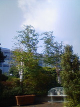 0bef1088.jpg
