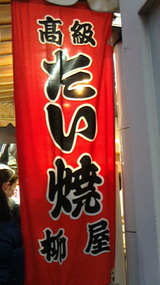 b0911119.jpg