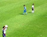 db719f44.jpg