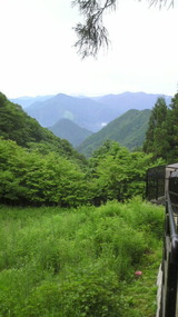 7e00b421.jpg