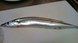 d37051f0.jpg