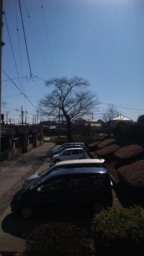 DVC00005
