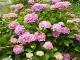 DSCN9080