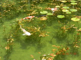 DSCN9193