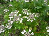DSCN9054