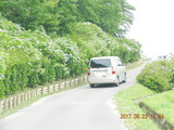 DSCN9088