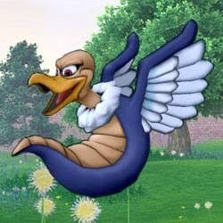 images (1)