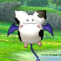 images (13)