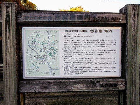 IMG_20181104_130203~2