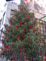渋谷・パルコ前の大きなクリスマスツリー