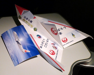 2回目のフランス--日本航空「JL041」便