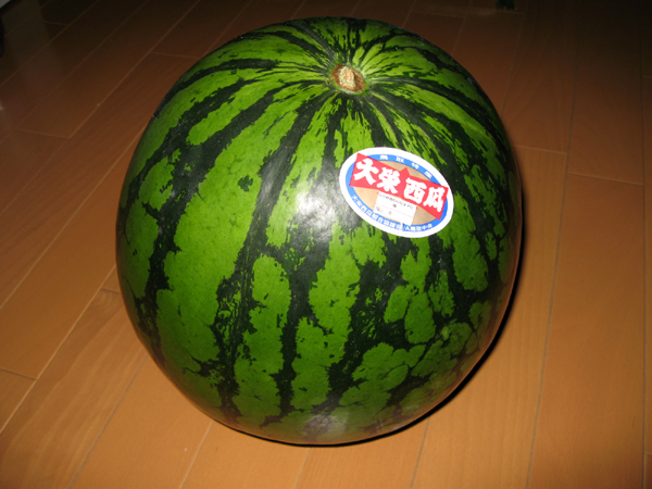 鳥取県のうまい大栄西瓜(だいえいすいか)を食す!