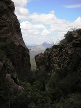Window View