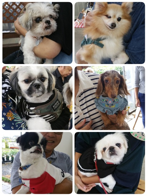 18-09-11-06-49-37-612_deco